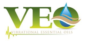 interact online marketing VEO Oils